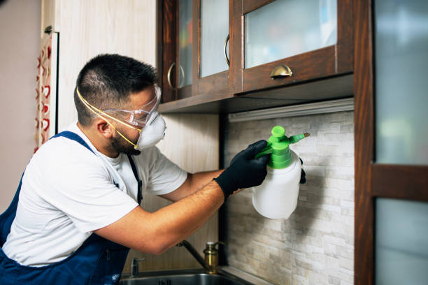 Wildlife Control Services in Washington Mills, NY