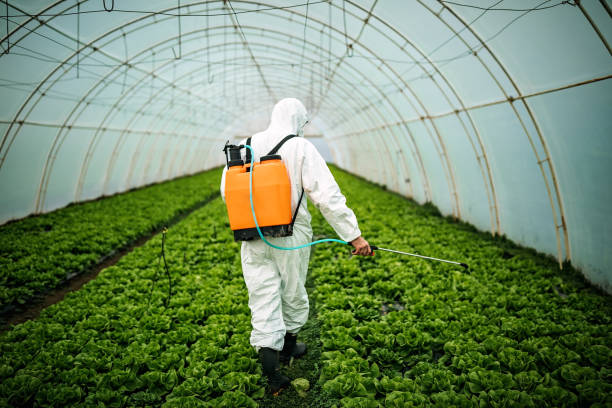 Best Best Pest Control Companies  in Washington Mills, NY