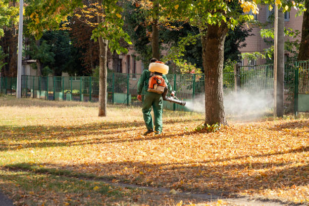 Best Ant Control Services  in Washington Mills, NY