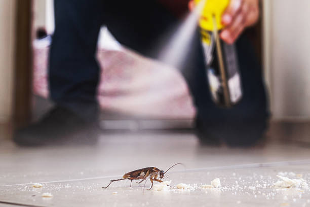 Best Residential Pest Control  in Washington Mills, NY