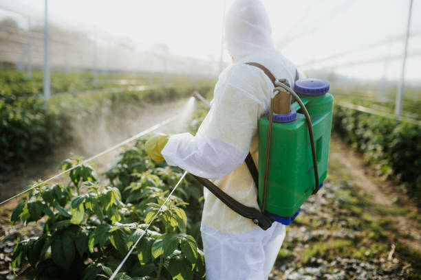 Best Local Pest Control Services  in Washington Mills, NY